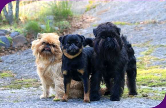 Tervetuloa meid�n jengiin!